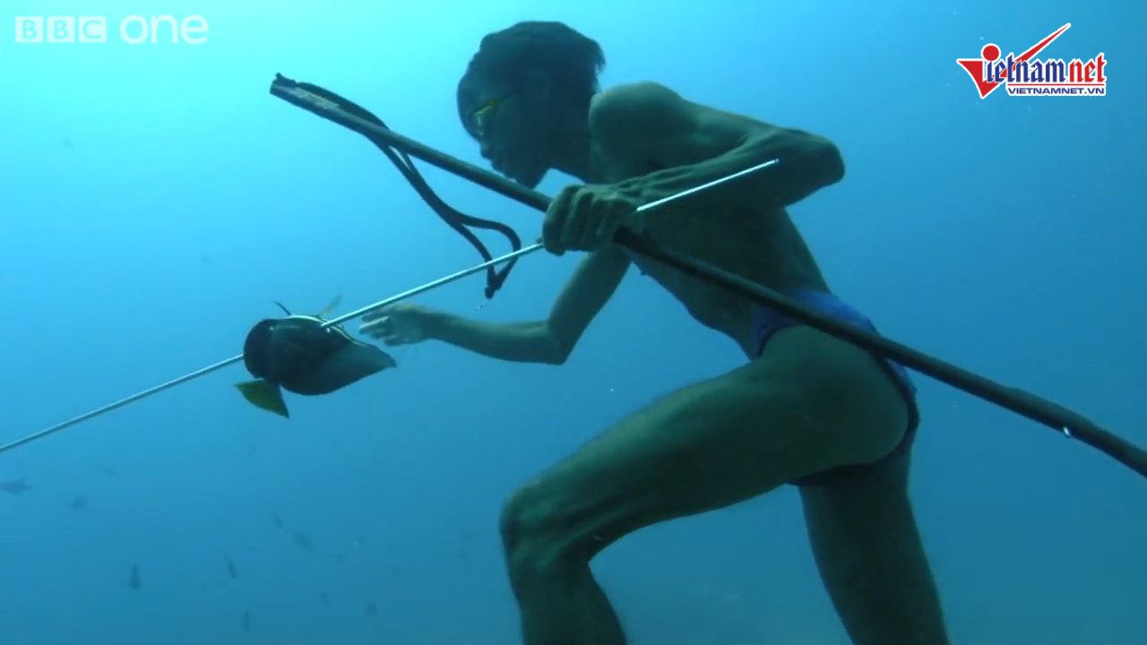 Kỳ lạ tộc người có thể lặn sâu 70m, 13 phút không cần thở dưới đại dương